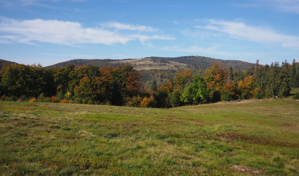 Wielka Racza i Przełęcz Przegibek -szlak, mapa [Beskid Żywiecki]