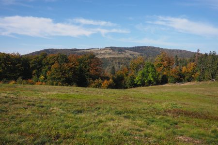 Wielka Racza i Przełęcz Przegibek -szlak, mapa [Beskid Żywiecki]