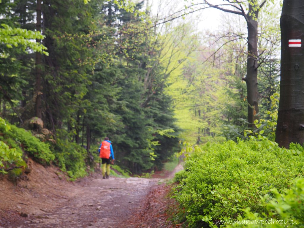 Beskid Mały - atrakcje, co zobaczyć, lista szlaków