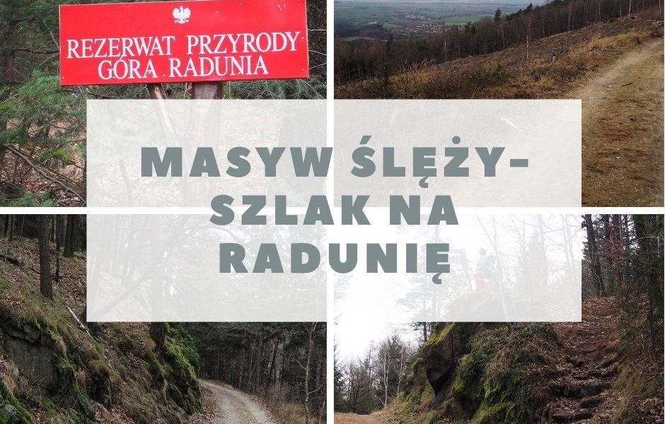 Radunia - szlak, mapa, zdjęcia [Masyw Ślęży]