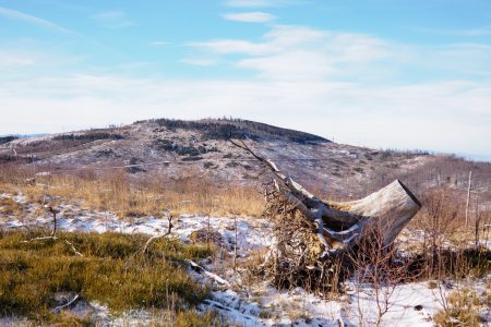 Biskupia Kopa - szlaki, mapa, wieża widokowa [Góry Opawskie]