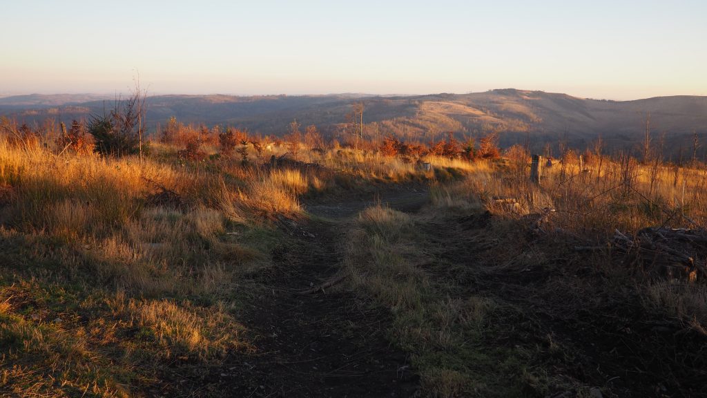 Biskupia Kopa - szlaki, mapa, wieża widokowa [Góry Opawskie]