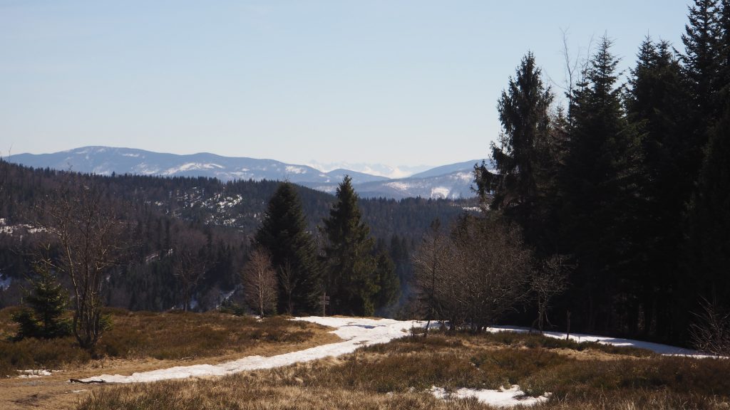 Potrójna- szlak, mapa, chatka [Beskid Mały]