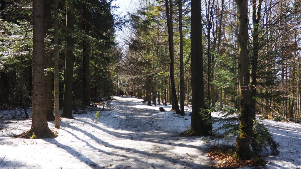 Potrójna- szlak, mapa, chatka [Beskid Mały]