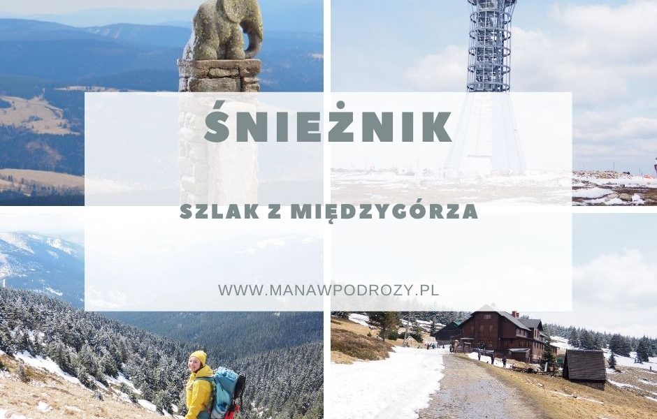 Śnieżnik z Międzygórza - szlak, mapa, wieża widokowa