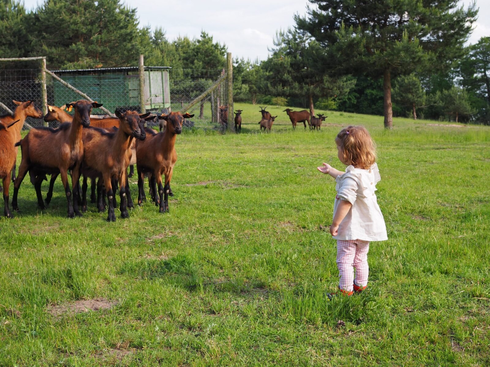 Mazury od kuchni - co zjeść na Mazurach?