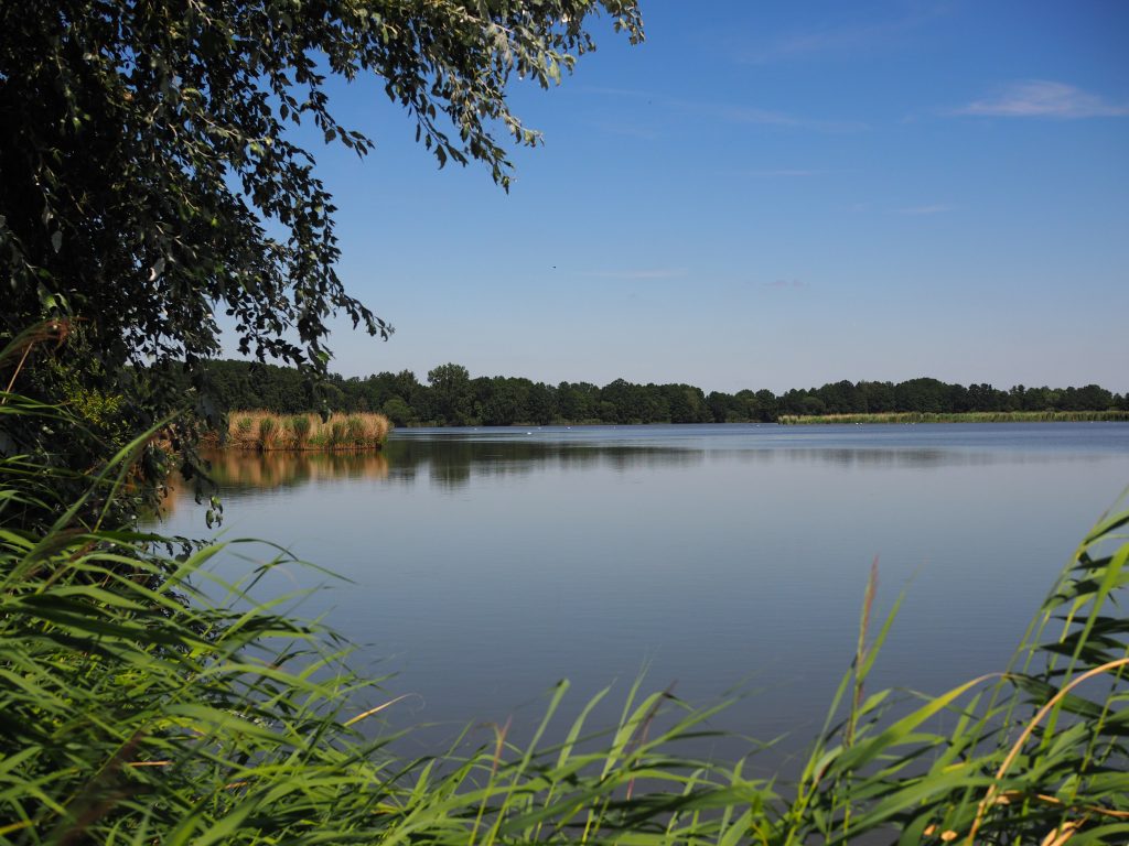 Dolnośląska Kraina Rowerowa: trasa rowerowa śladem dawnej linii kolei wąskotorowej - opis