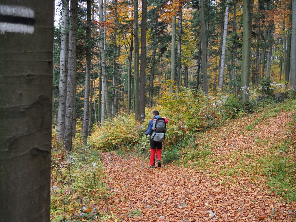 Lubomir (904 m n.p.m.)- szlak, obserwatorium astronomiczne, schronisko [Beskid Makowski]