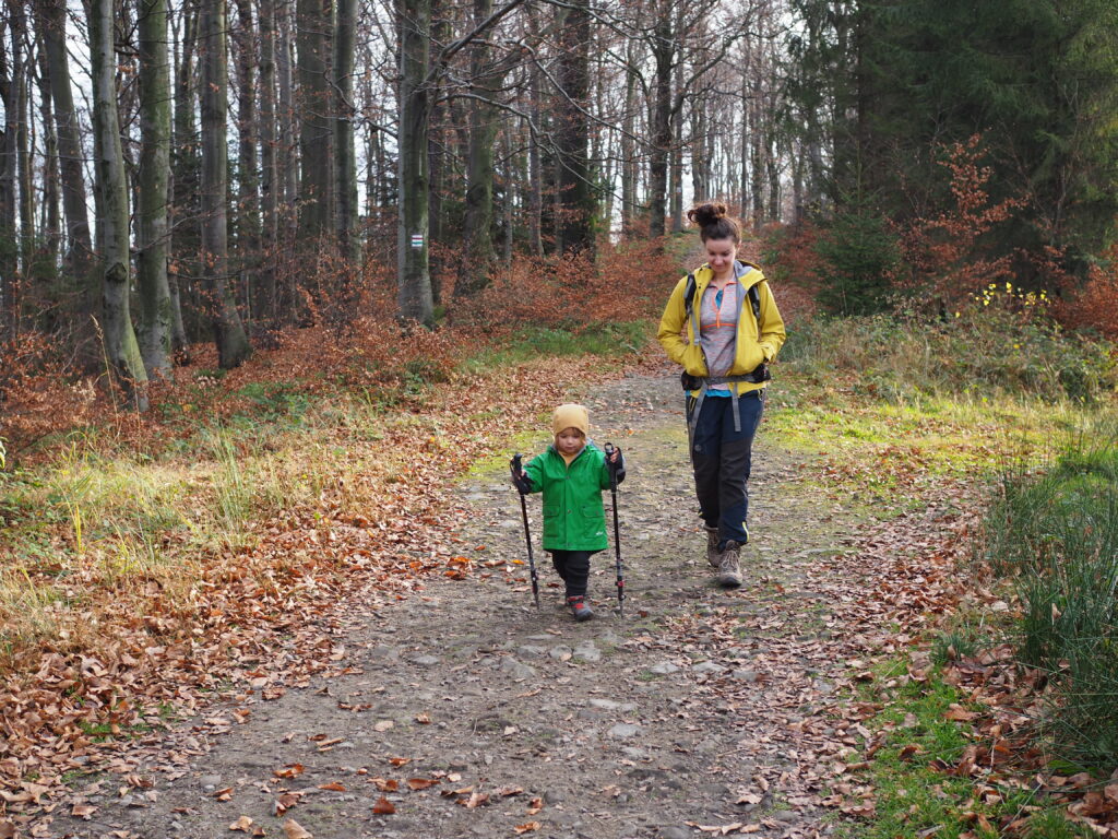 Chrobacza Łąka -szlak, schronisko (828 m n.p.m.) [Beskid Mały]