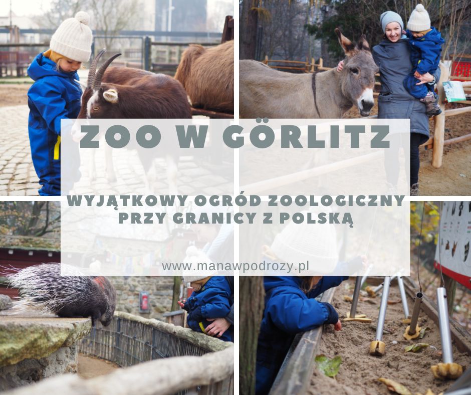 Zoo w Görlitz- wyjątkowe ZOO przy granicy z Polską (dojazd, bilety wstępu)