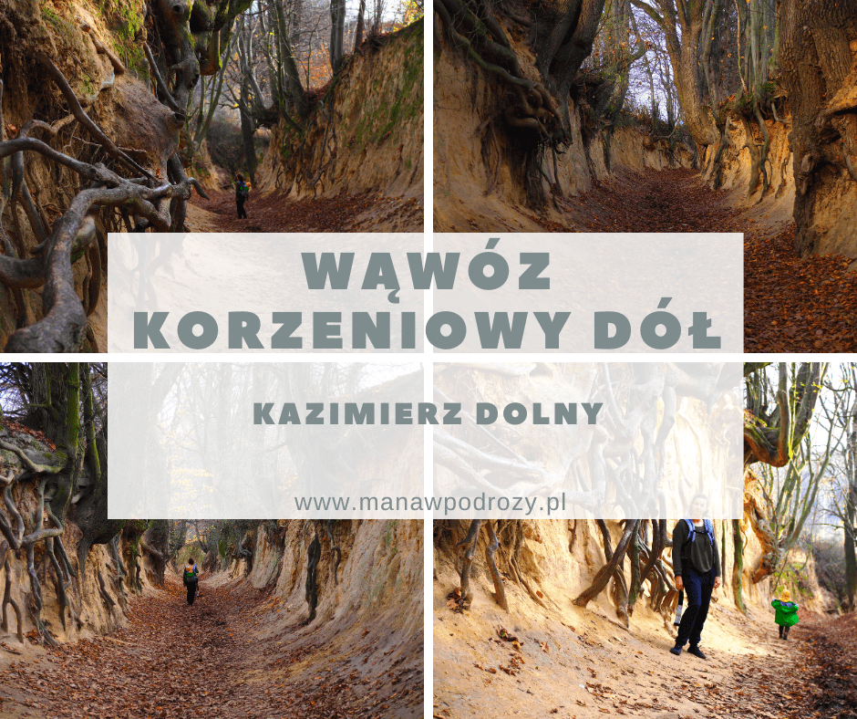 Wąwóz Korzeniowy Dół