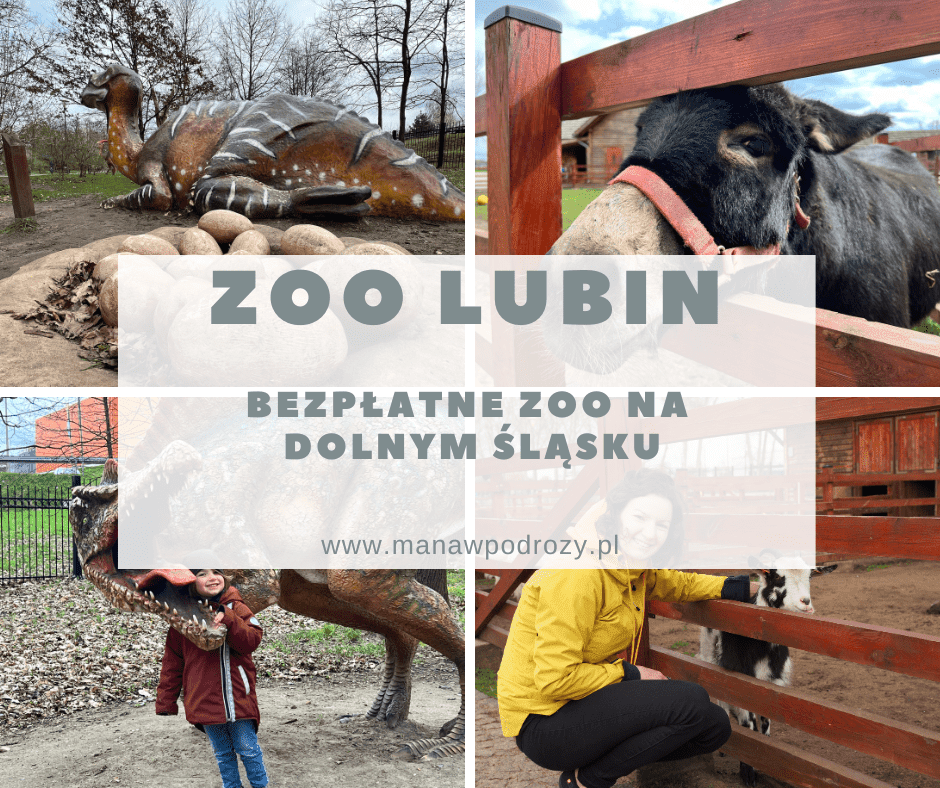 Zoo w Lubinie - bezpłatny ogród zoologicznym na Dolnym Śląsku