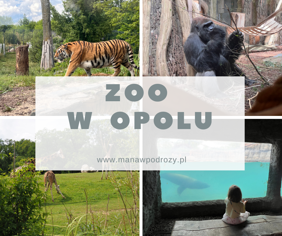 Zoo w Opolu