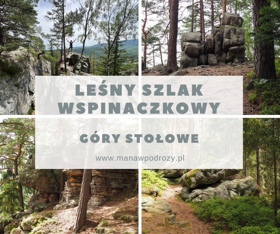 Leśny Szlak Wspinaczkowy