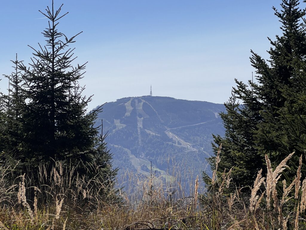 Widok na Skrzyczne z Magury