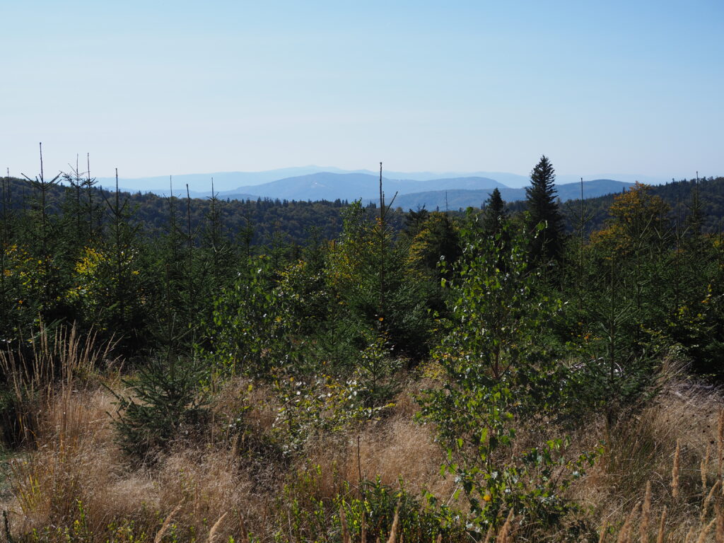 Widok na Beskid Śląsko-Morawski ze szlaku między Klimczokiem a Szyndzielnią