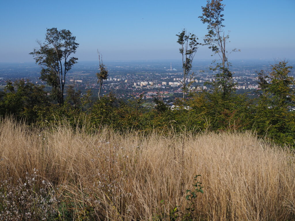 Widok na Bielsko-Białą 