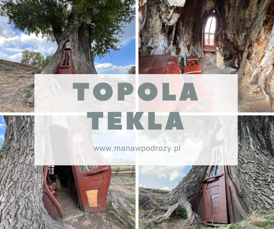 Topola Tekla