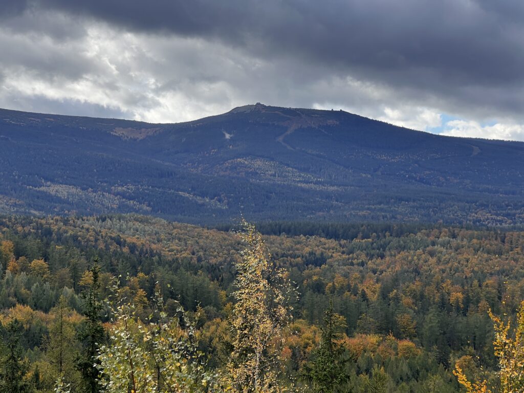 Panorama ze Złotego Widoku zachwyca niejednego