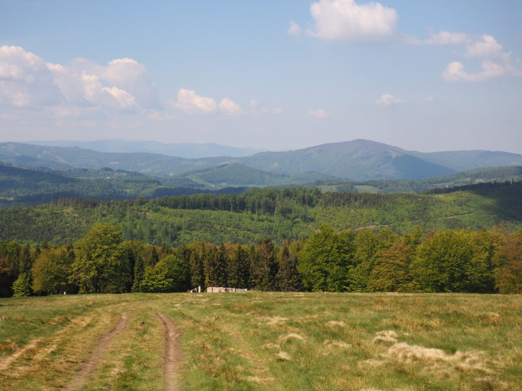 Hala Jaworowa i widok na Wielką Czantorie