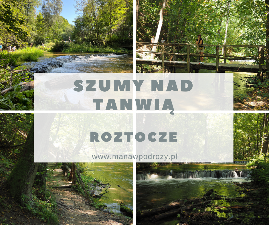 Szumy nad Tanwią