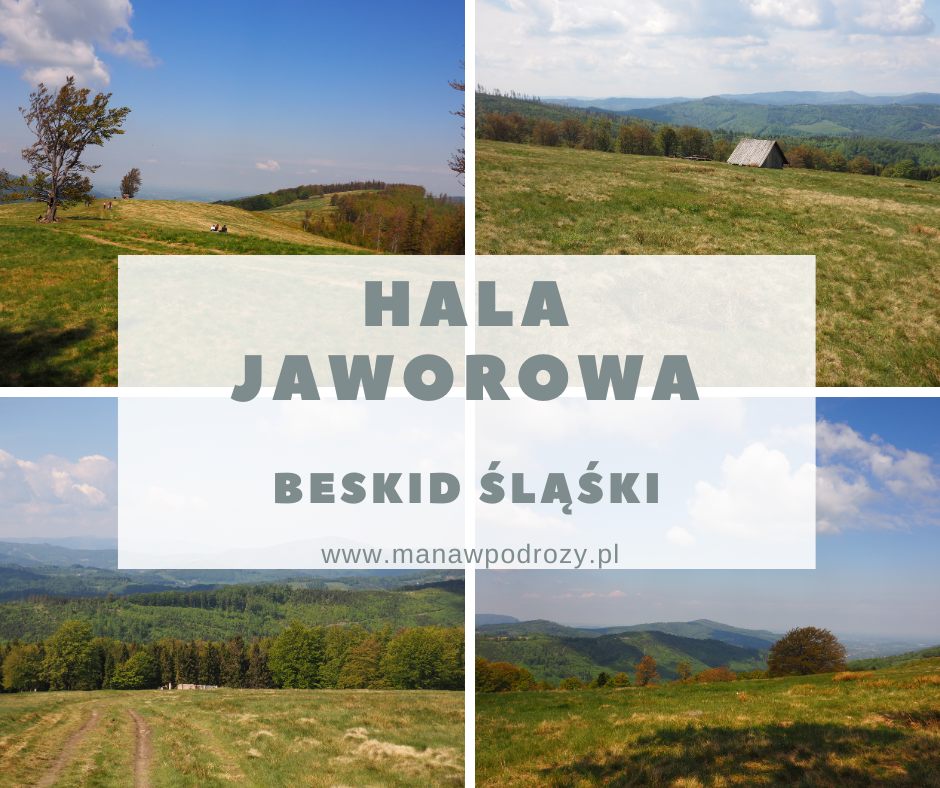 Hala Jaworowa